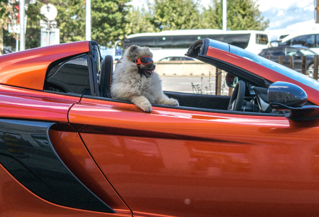 McLaren 650S Spider