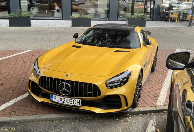 Mercedes-AMG GT R C190 2019