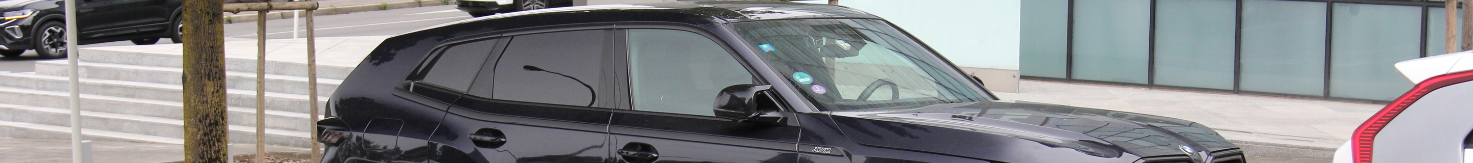 BMW XM G09