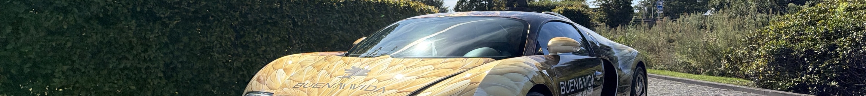 Bugatti Veyron 16.4