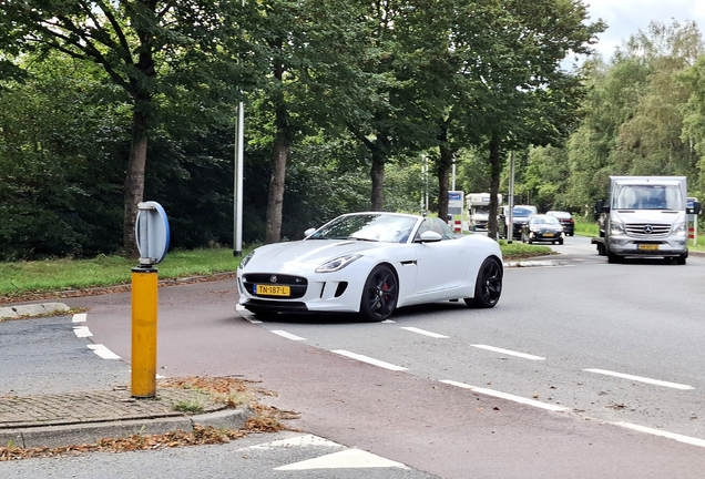 Jaguar F-TYPE S Convertible
