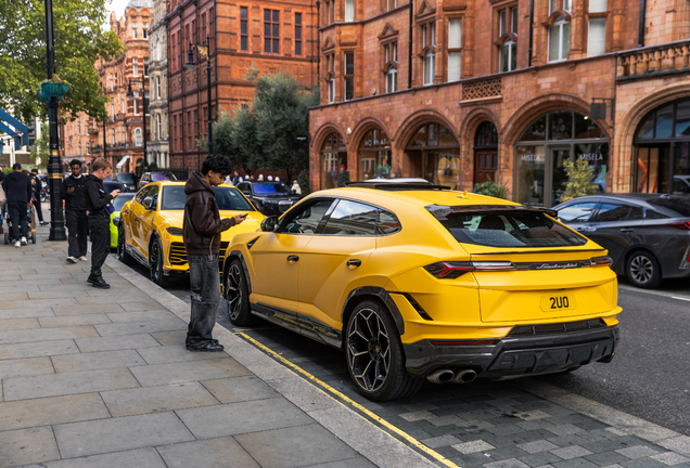 Lamborghini Urus Performante