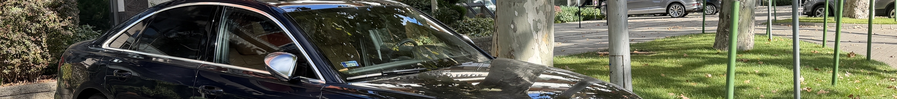 Audi S8 D5 2022