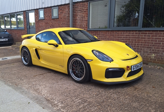 Porsche 981 Cayman GT4