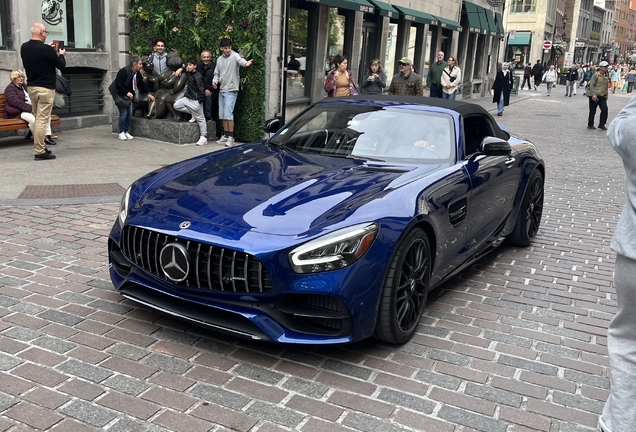 Mercedes-AMG GT C Roadster R190 2019