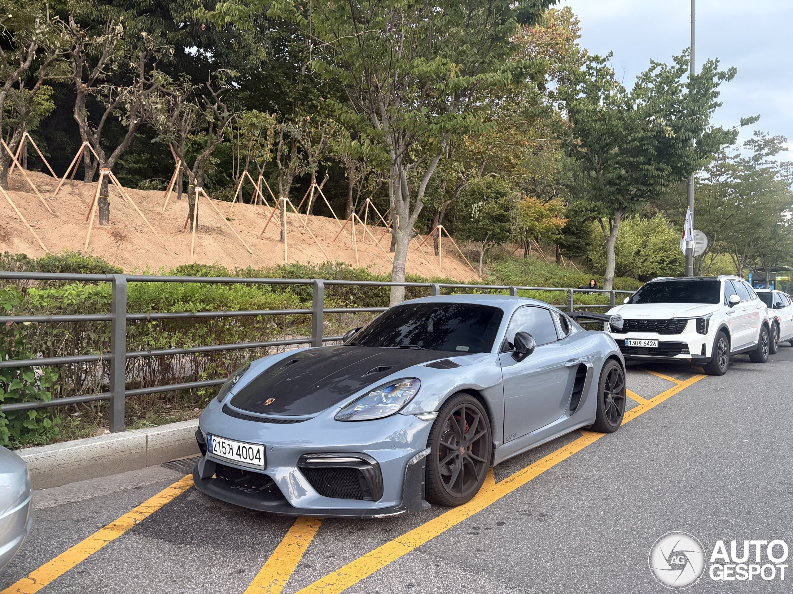 Porsche 718 Cayman GT4 RS Weissach Package