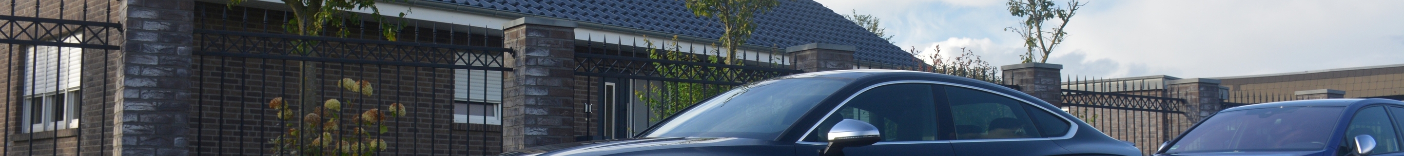 Audi RS5 Sportback B9 2021