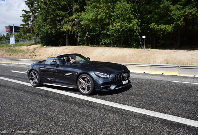 Mercedes-AMG GT C Roadster R190 2019