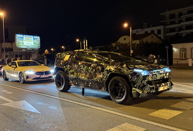CEER Exobot