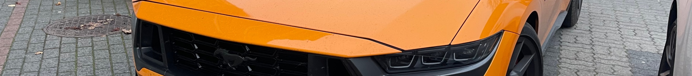 Ford Mustang Dark Horse 2024 - 26 October 2026 - Autogespot