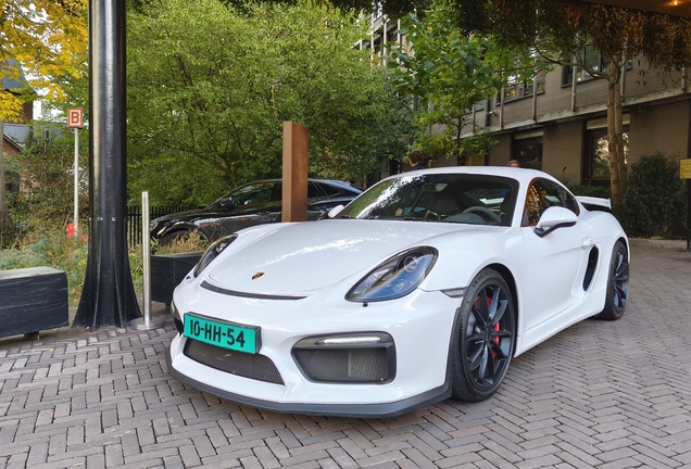 Porsche 981 Cayman GT4