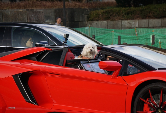 Lamborghini Aventador LP700-4 Roadster